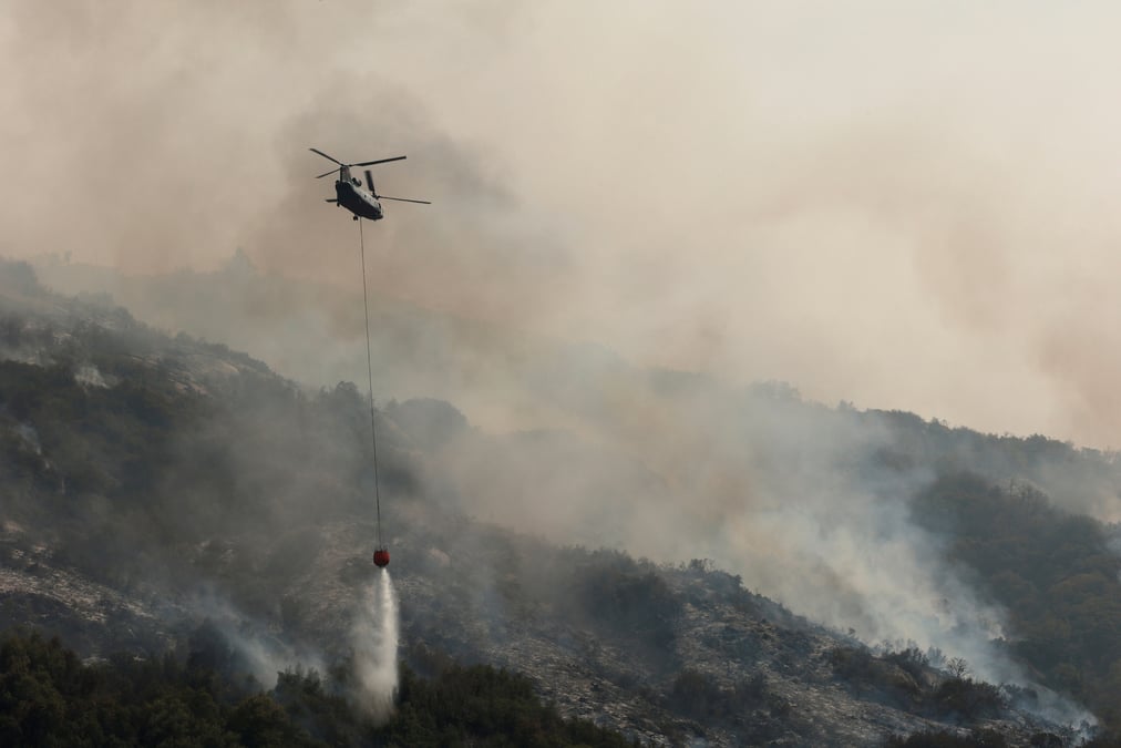 En californie, des celebres sequoias geants epargnes par les flammes