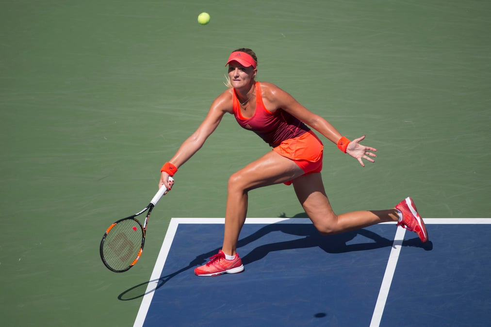 Mladenovic chute d'entree