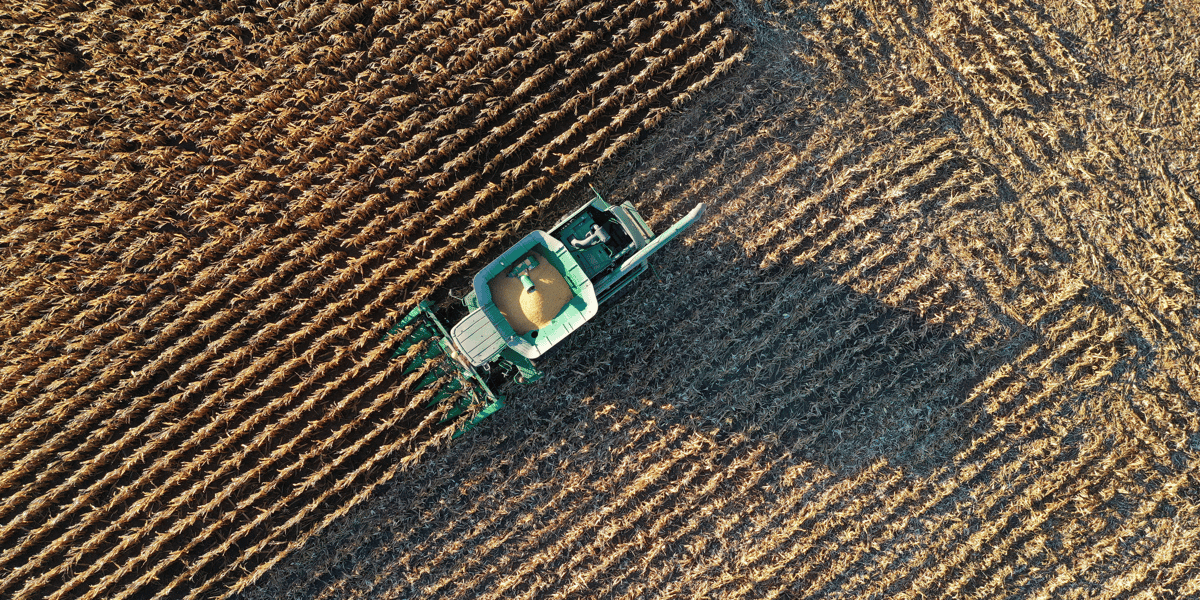Agriculture / Céréales : Un agriculteur de l'Indiana (Etats-Unis) récolte le blé de ses champs