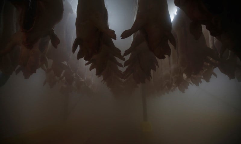 Le tribunal de commerce valide deux offres de reprise pour les abattoirs aim