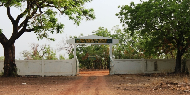 Parc national de la Pendjari Bénin