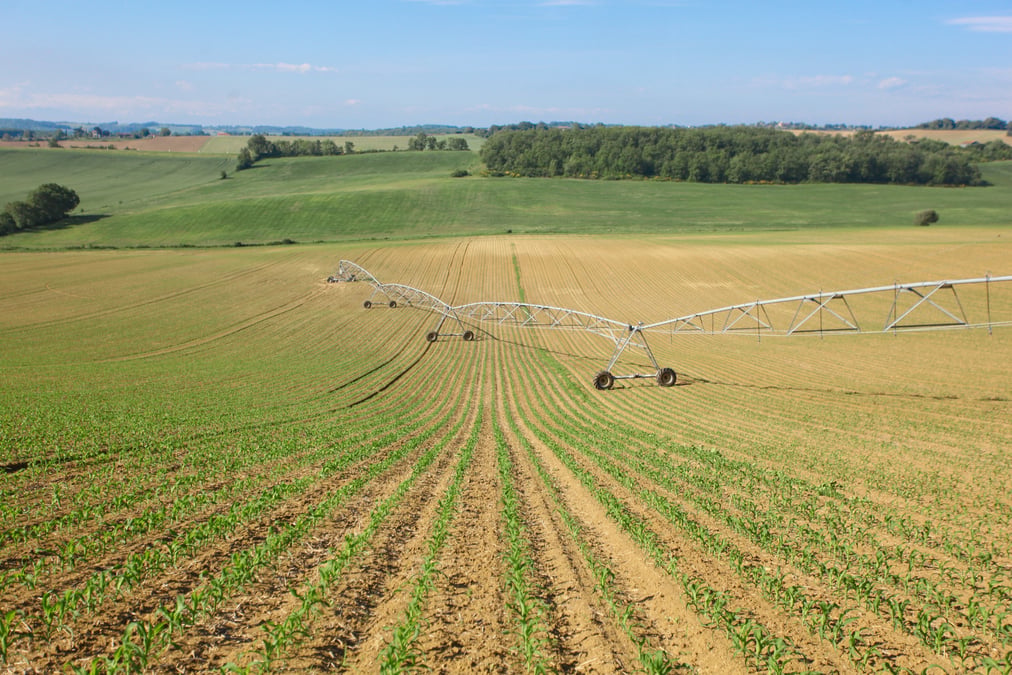 irrigation eau