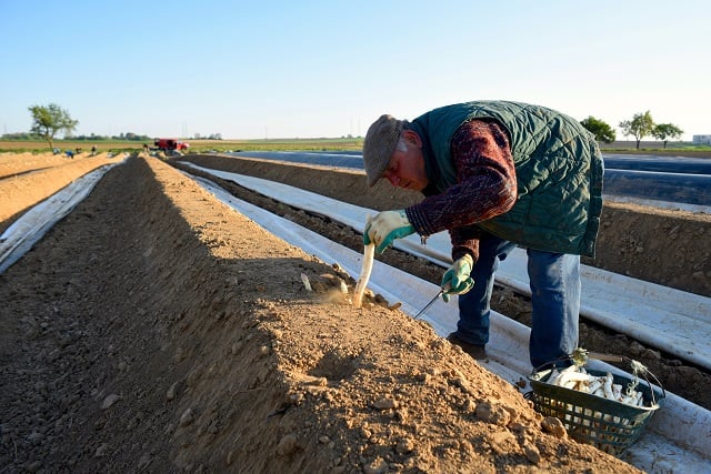 agriculture