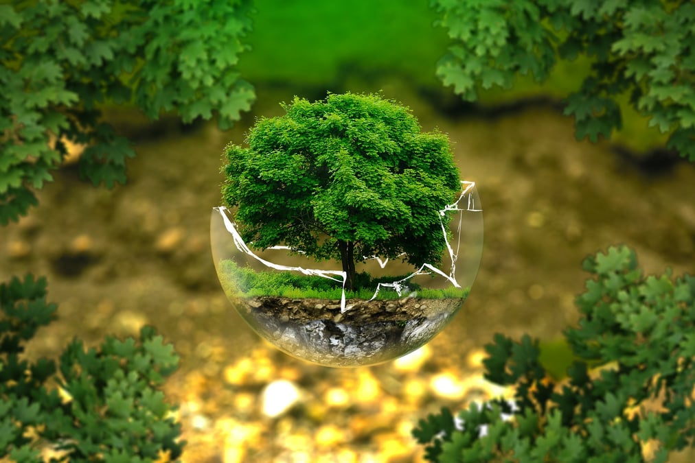 Photo d'illustration