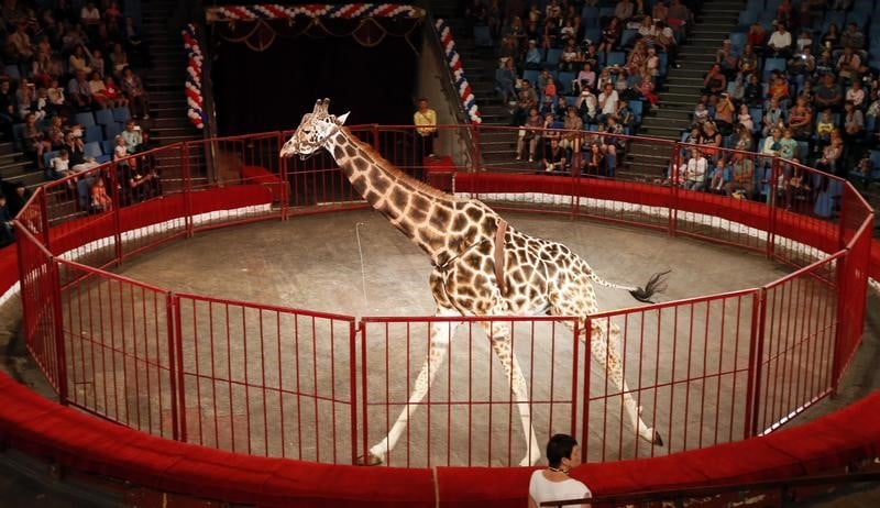 Des places au cirque offertes par le pape deplaisent a certains
