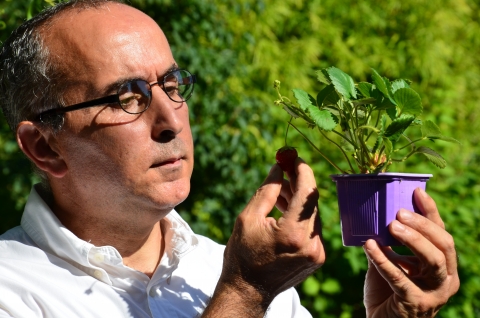 comptoir des jardins