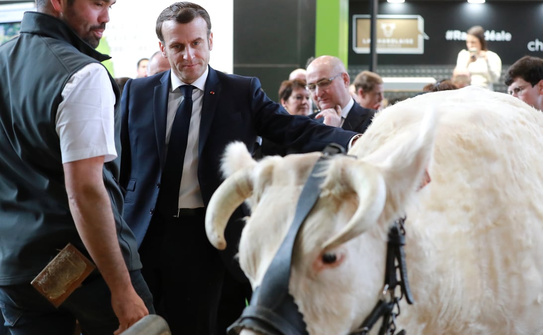 La forme de l'intervention d'Emmanuel Macron, qui d'habitude se promène pendant des heures et des heures dans les allées du salon sans tenir de véritable discours, n'est pas encore claire. Mais un format, proposé par la FNSEA et les JA, semble plaire à l'Elysée: celui d'un « grand débat » avec les agriculteurs -et non pas des représentants des syndicats.