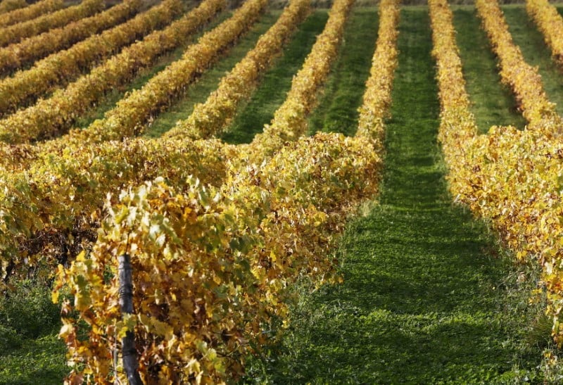 Le vin australien de pernod ricard bloque dans les ports chinois