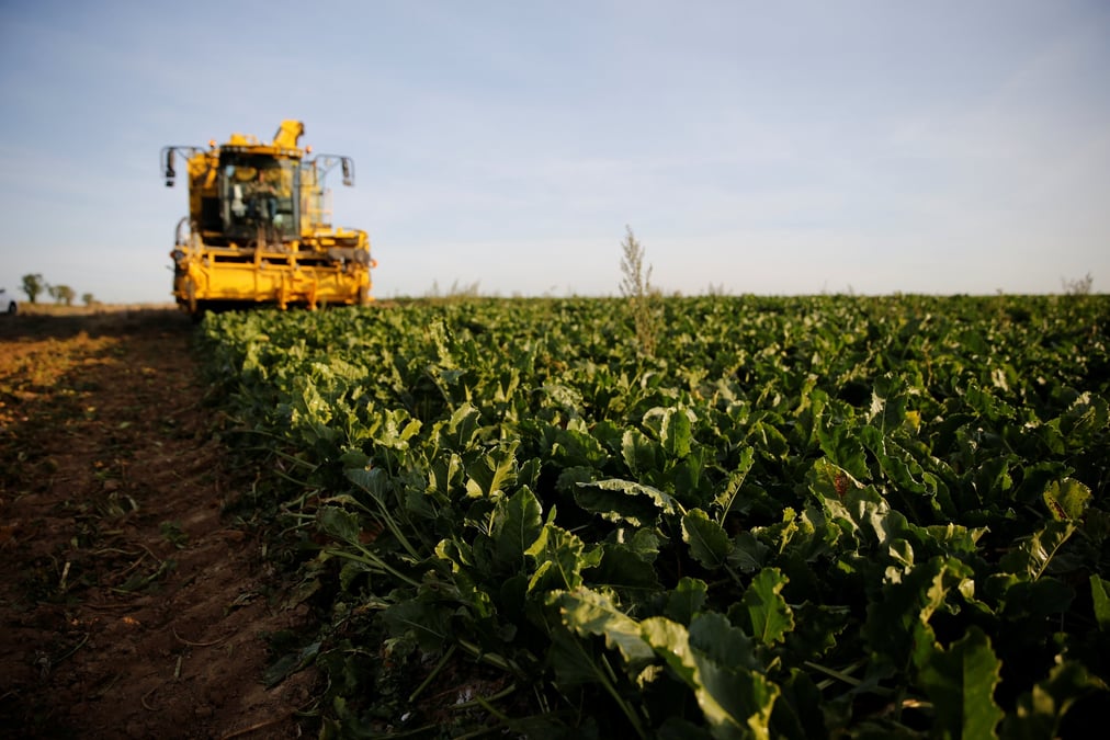 La loi agriculture et alimentation definitivement adoptee