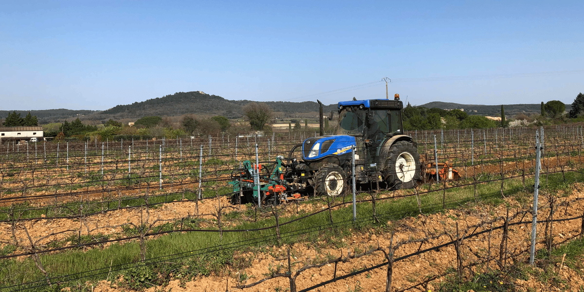 Travail du vignoble