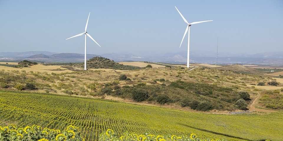 Selon le préfet de l'Allier, un seul projet a été autorisé en 2024 dans le département, quatre ont été refusés.