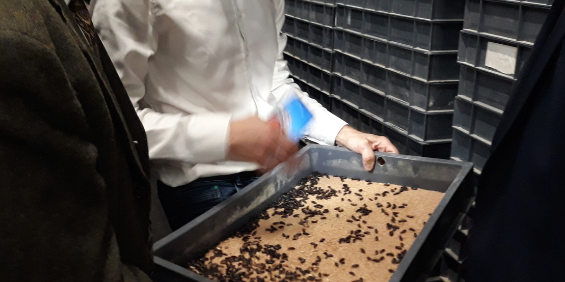 Invers, protéines durables