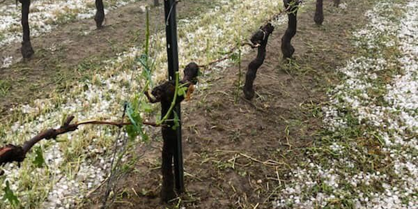 Grêle vignoble Bordeaux mai 2018