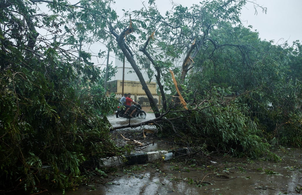 Des gens passent devant un arbre tombe au lendemain du cyclone biparjoy a bhuj