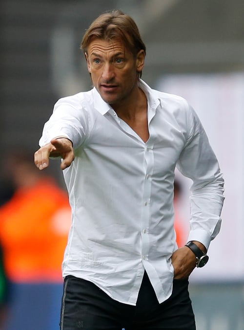 Herve renard limoge de lille ! 