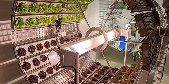 Dans ses fermes-verticales, Futura Gaïa fait pousser des cultures installées sur des roues.