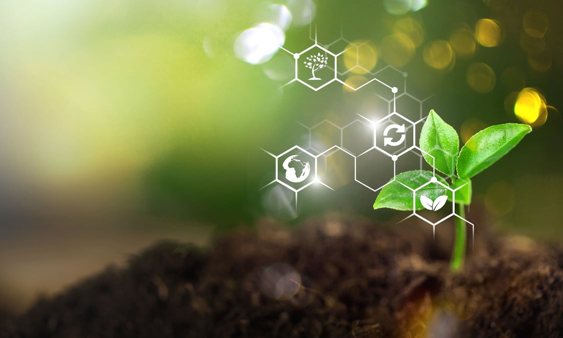 AWS - sustainbility