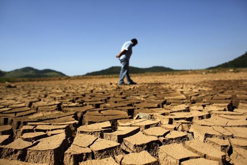 La secheresse dans le monde va couter plus de 8 milliards de dollars