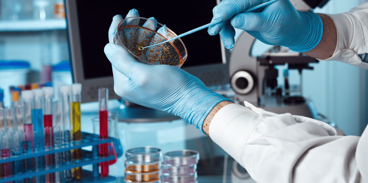 Laboratoire