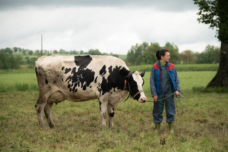 Fiction quotidienne qui suivra la scolarité et la vie d'élèves de terminale d'un lycée agricole en Bretagne, la série « Déter » entend changer l'image de la ruralité et du monde agricole. Sur le tournage, l'équipe modifie aussi ses pratiques pour aller vers des usages écologiquement plus vertueux.