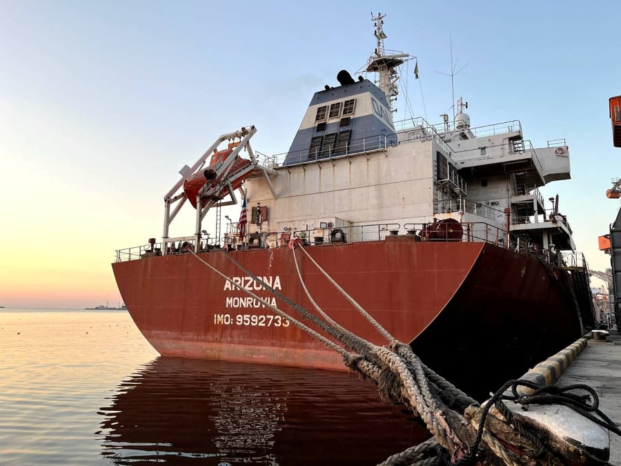 Deux nouveaux navires charges de cereales quittent l'ukraine