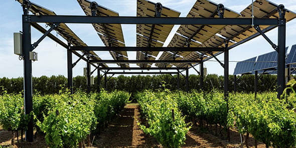 L'agrivoltaïsme attaque son déploiement en France mais des questions restent en suspens.