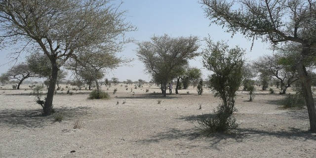 Sahara Sahel climat sécheresse