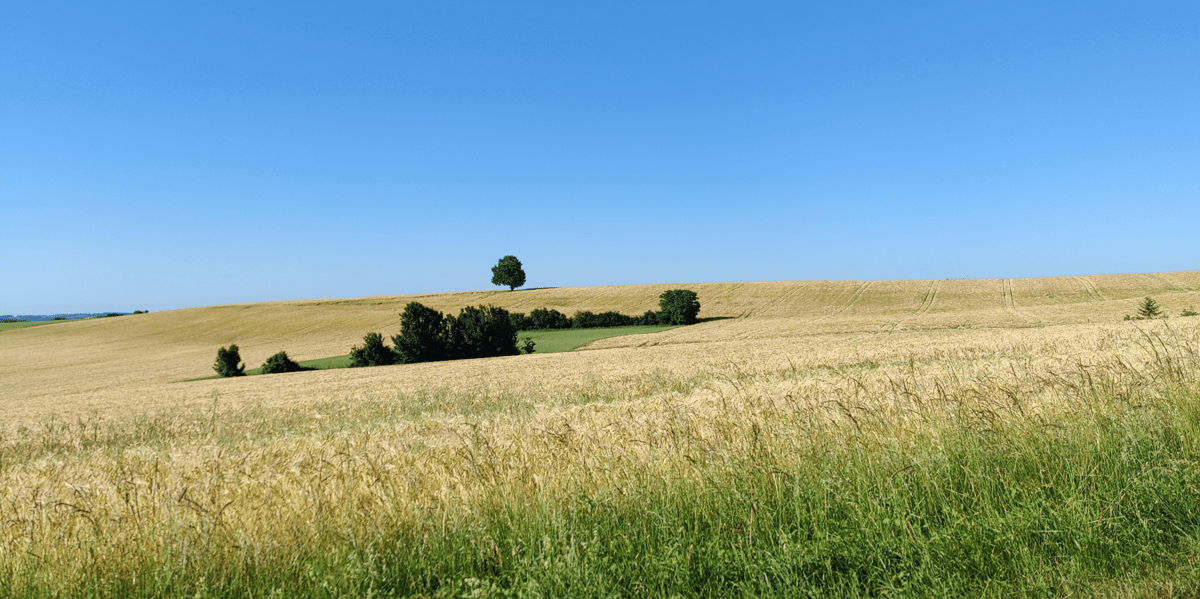 campagne