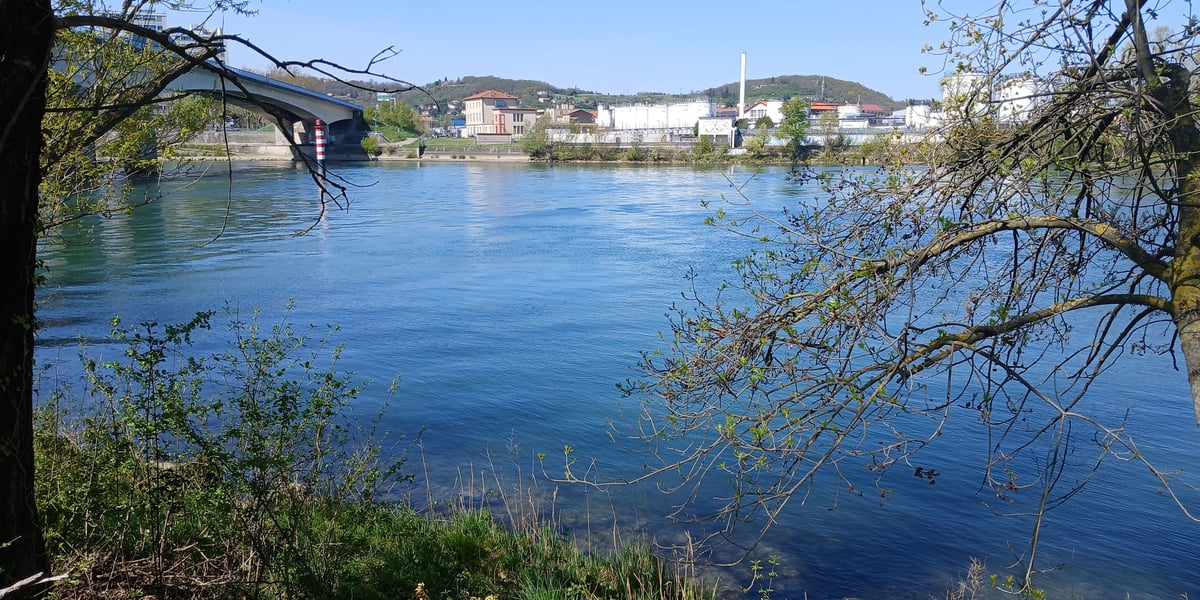 Au sud de Lyon, des PFAS ont été identifiés dans l'eau potable captée sur le Rhône, à des taux deux fois supérieurs à la future norme européenne sur les PFAS (100 ng/l), qui s'appliquera en janvier 2026.