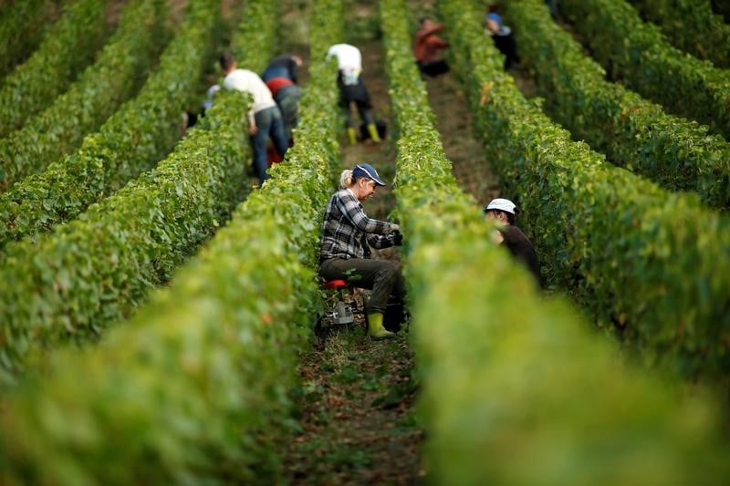 La progression de l'emploi interimaire reste solide en france