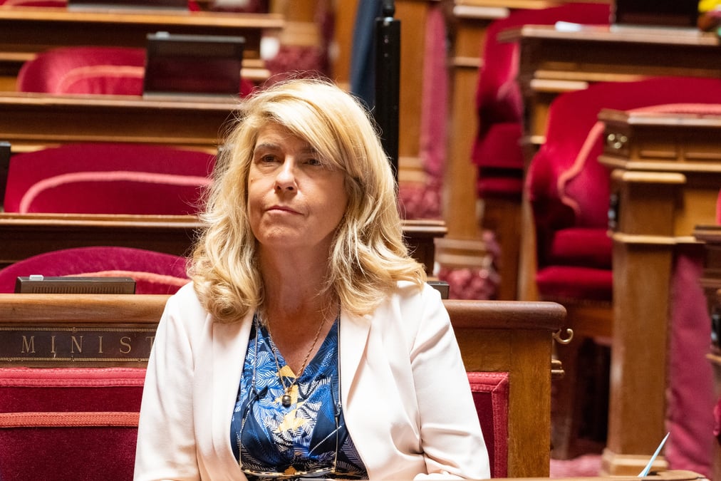 La ministre chargée des Collectivités et de la Ruralité, Dominique Faure, fait partie des plus de 210 candidats à la députation qui ont finalement renoncé au second tour pour faire barrage à l'extrême droite.