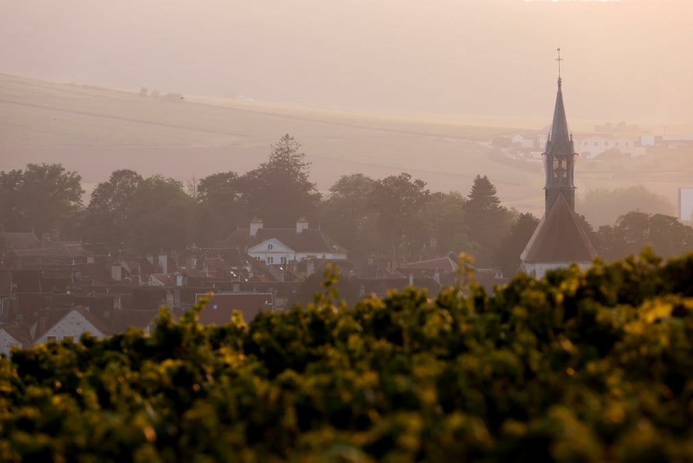 Vue sur le vignoble de chablis