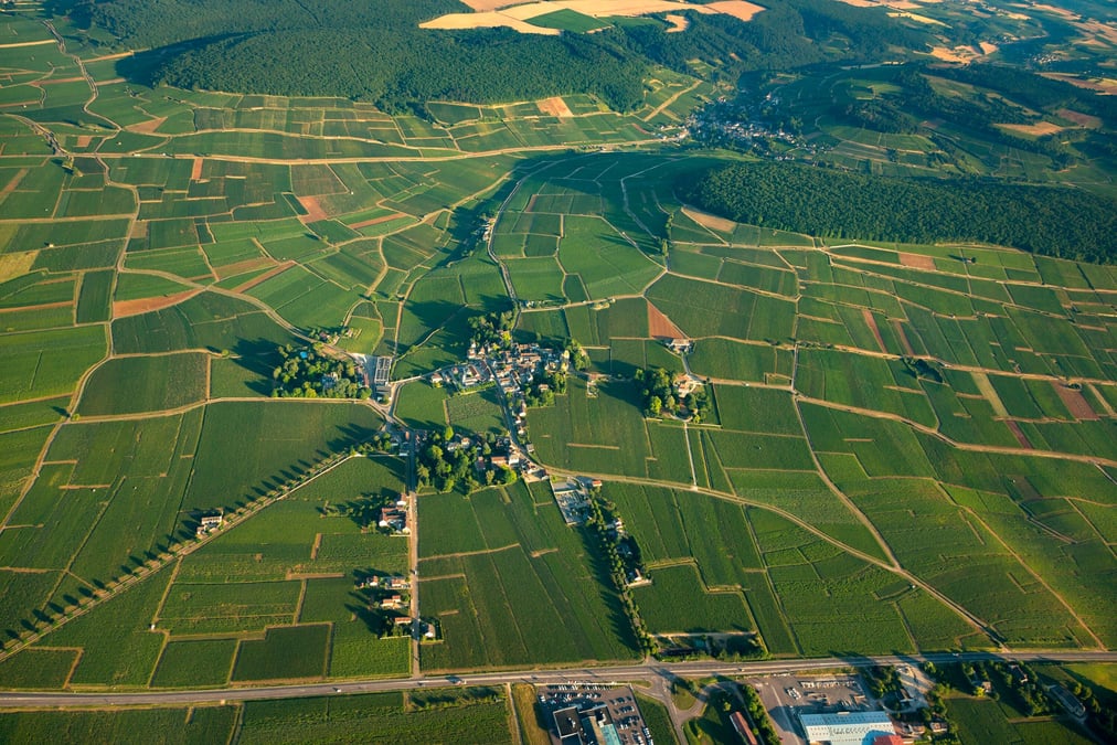 Attaché à la valorisation des territoires, le dirigeant de Canovia a mis au point un concept, afin de faciliter les transmissions de domaines viticoles au sein des familles. Ici un paysage des vignes en Côte-d'Or (Bourgogne).