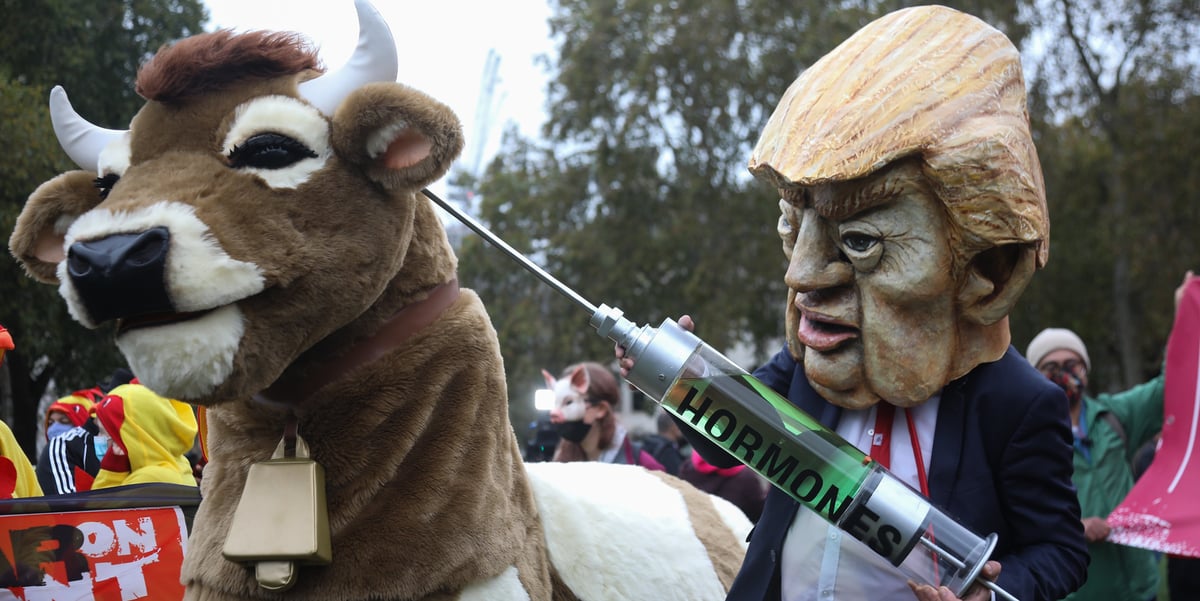 Des manifestants protestent contre l'importation de produits alimentaires américains comme le bœuf aux hormones au Royaume-Uni. © Kristian Buus, Global Justice Now, CC Licence