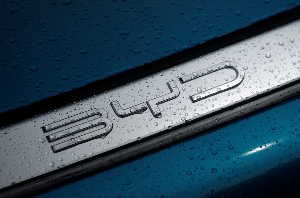 Le géant chinois des voitures électriques, BYD, dispose de sa propre flotte de navires.