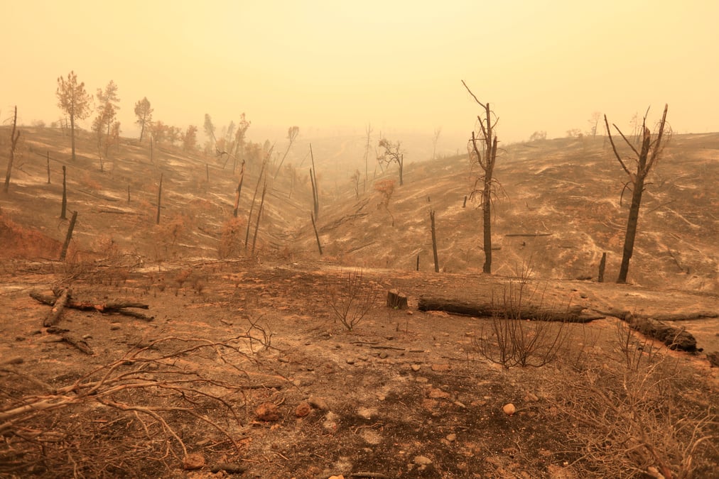 Un incendie ravage le nord de la californie, au moins 5 morts