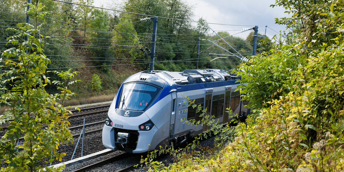 Train Régiolis