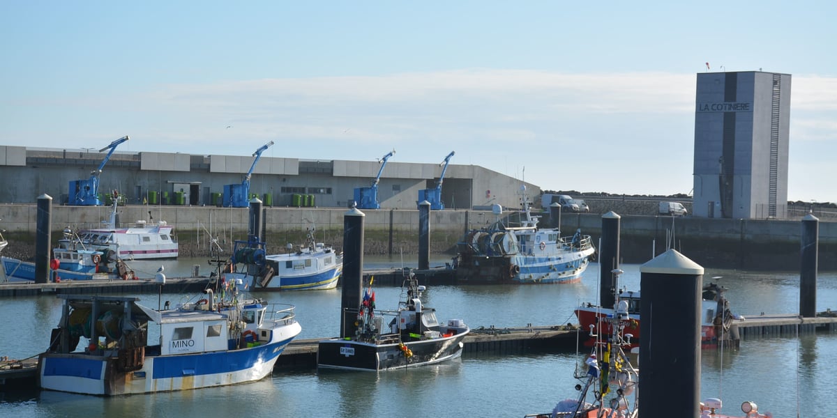 Sur l'île d'Oléron, la criée de La Cotinière est le haut lieu de la pêche du centre-atlantique.