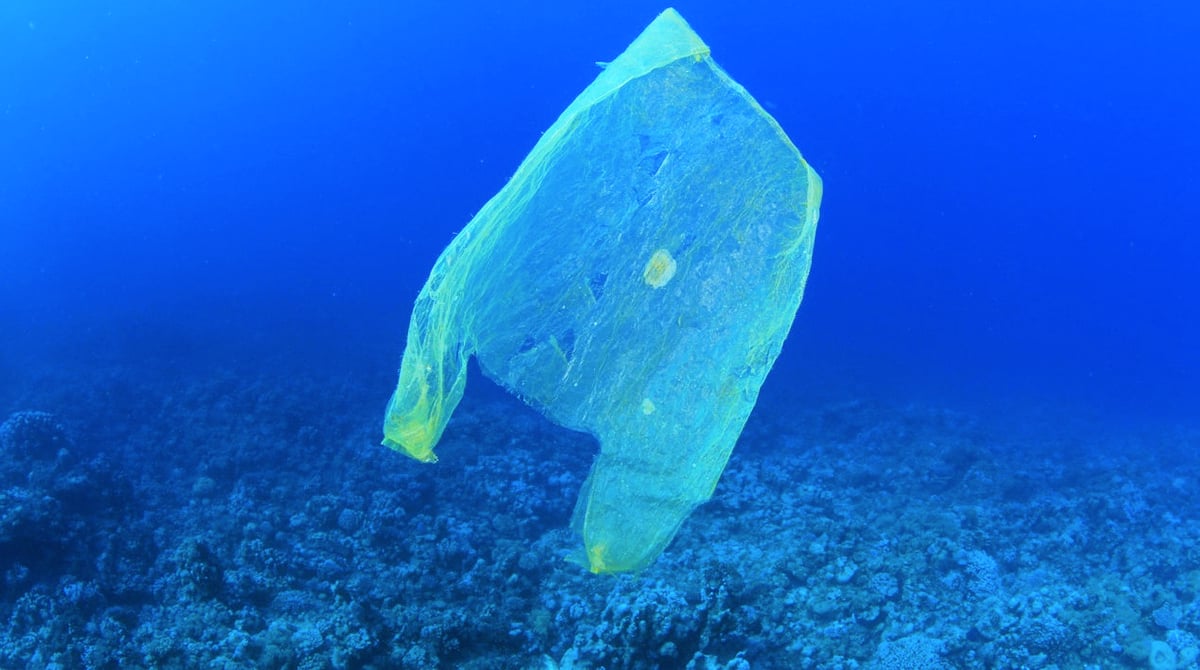 plastique