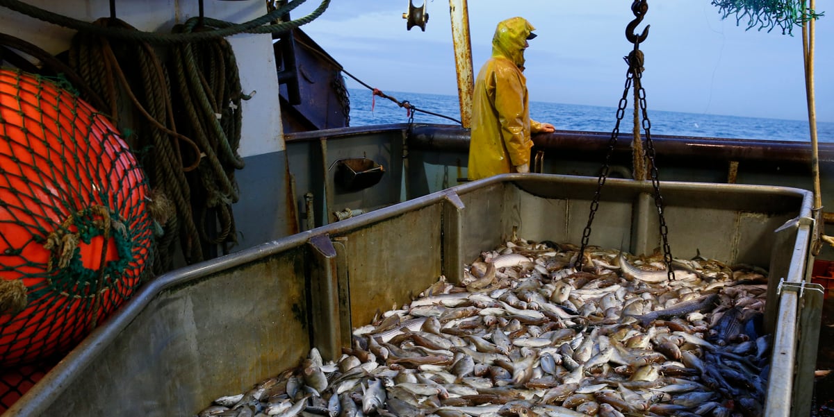 pêche, océan, produit, maritime, côtes, chalutier, filet, poisson, Boulogne-sur-Mer,