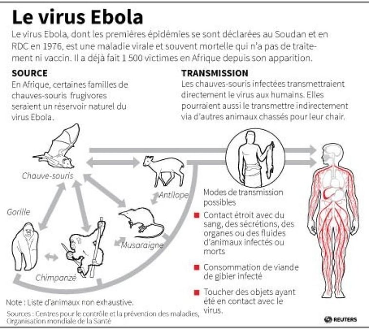 Guinée: l'OMS relativise l'ampleur de l'épidémie de fièvre Ebola