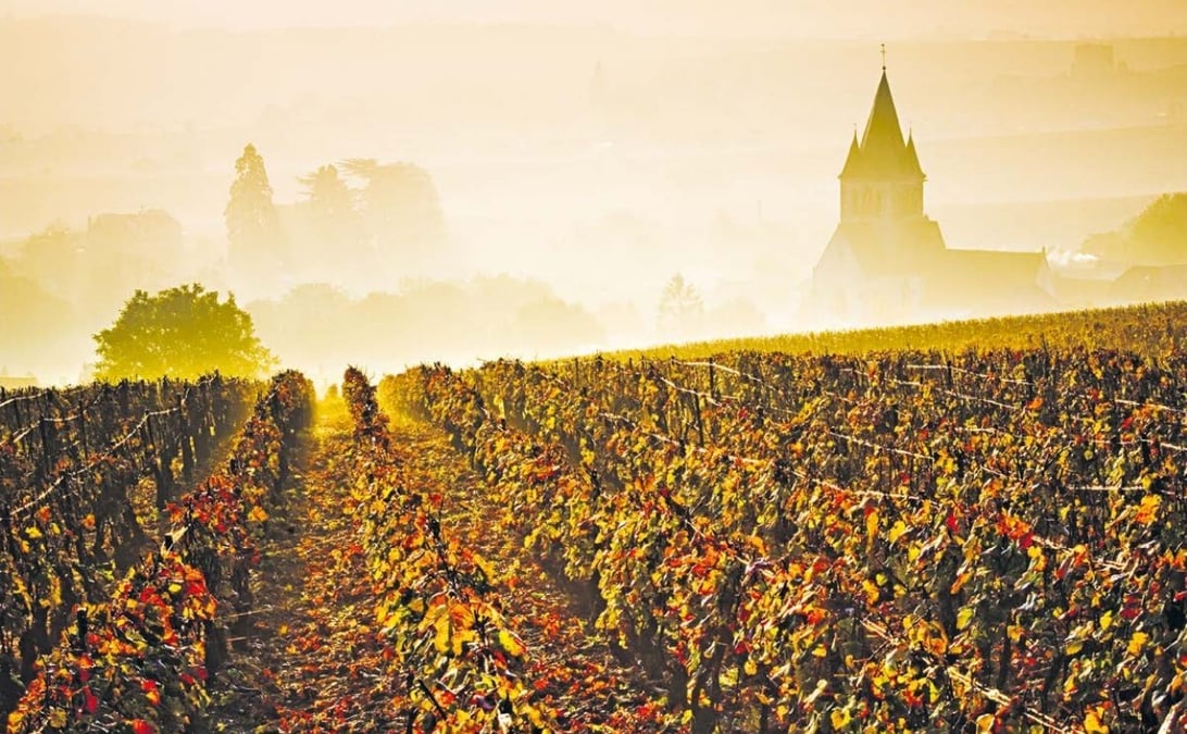 Produits partout dans l’Hexagone, les VDF, ces vins « particuliers », ont commencé à séduire le marché étranger.