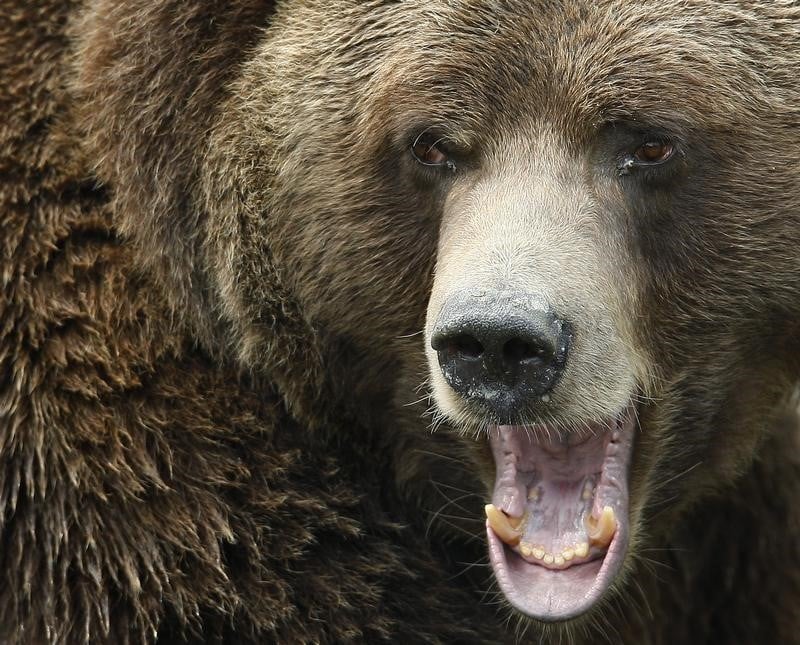 Enquete apres une video appelant a la chasse a l'ours en ariege