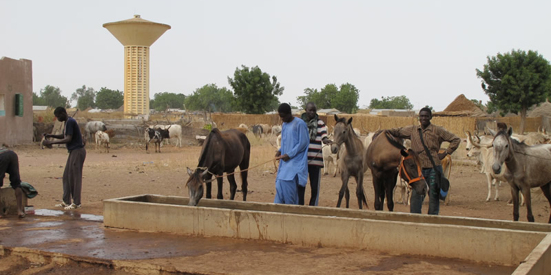 sénégal infrastructures village paysans