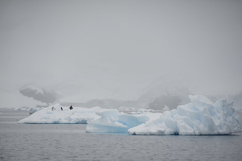 Le rythme de fonte de l'antarctique s'accelere fortement
