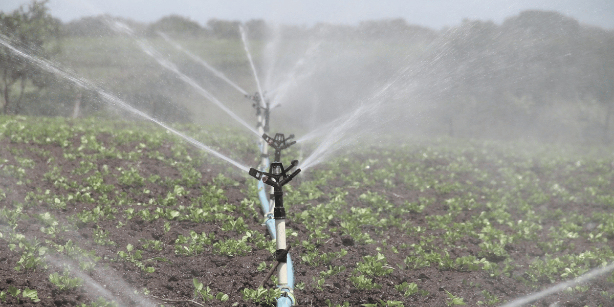 Eau irrigation