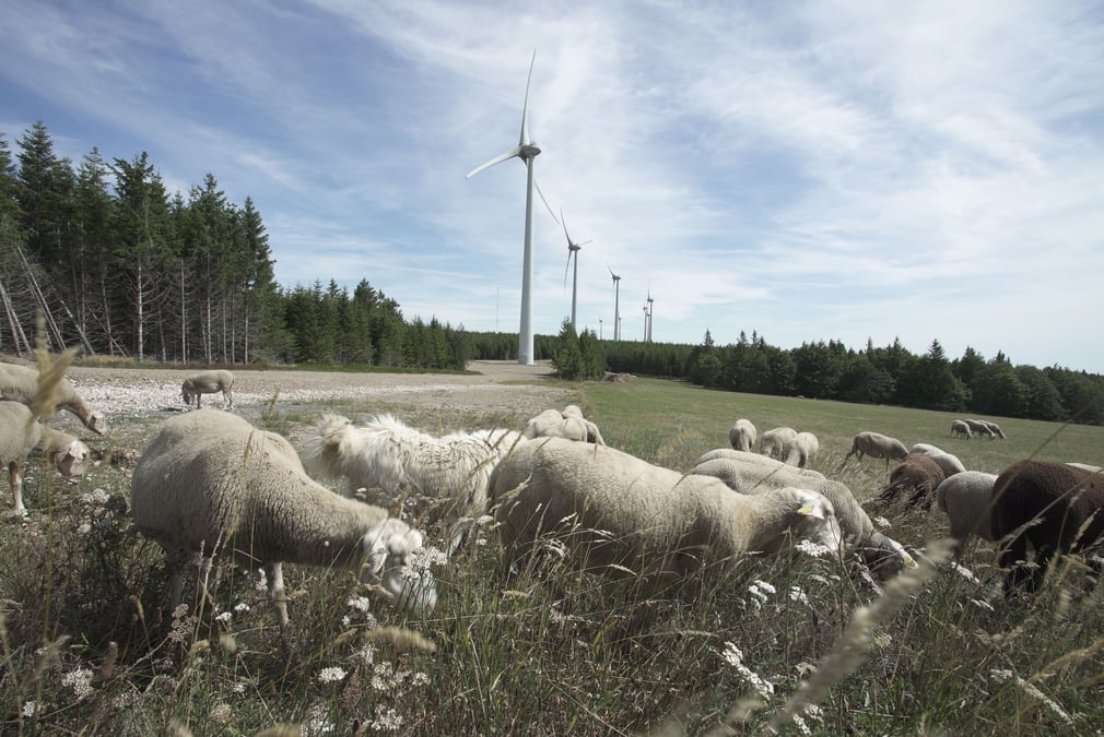 Les 9 éoliennes du parc éolien d'Oupia fournissaient l'équivalent de la consommation annuelle de 9 000 habitants. Le repowering de ce parc, c'est-à-dire le remplacement par des éoliennes plus récentes, permettra de produire l'équivalent de la consommation annuelle de 25 000 habitants.