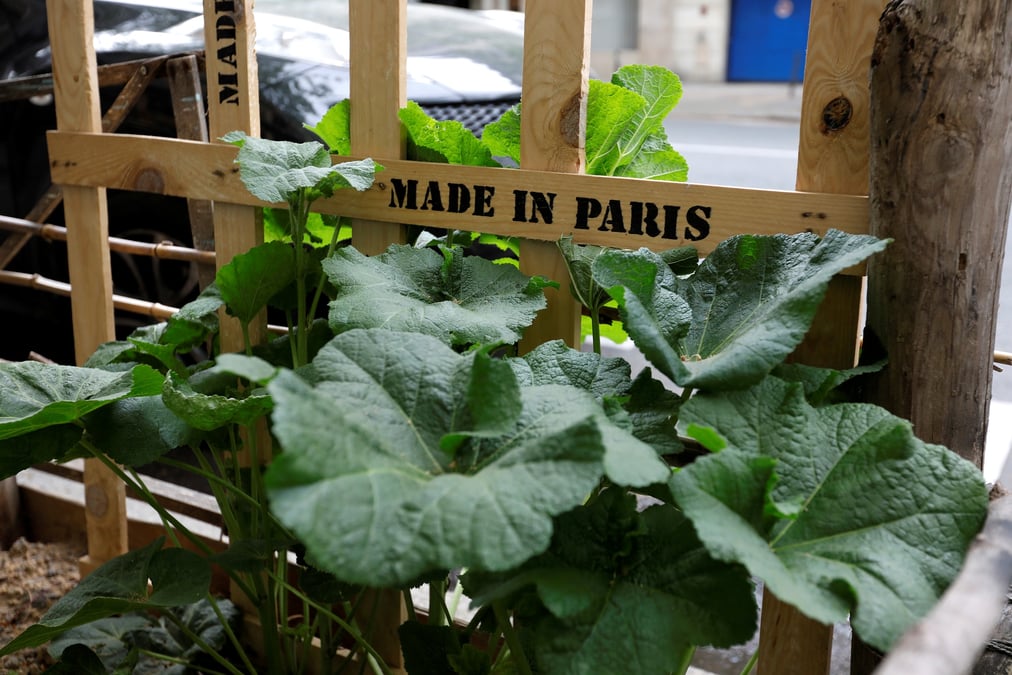 Agriculture urbaine