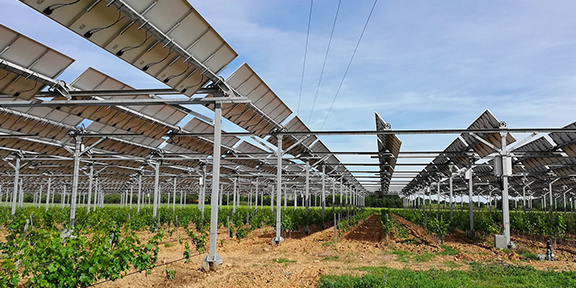 Le Domaine de Nidolères, dans les Pyrénées-Orientales, est un site pilote d'agrivoltaïsme sur des vignes, déployé par Sun'Agri.