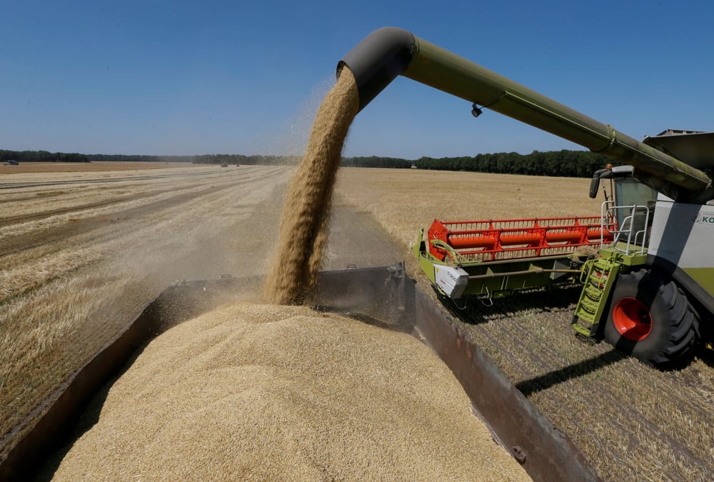 L'ukraine releve ses previsions de semis de printemps